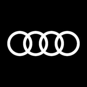 Audi Oto Koltuk Döşeme